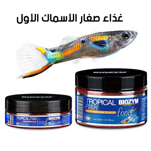 مستلزمات حوض السمك